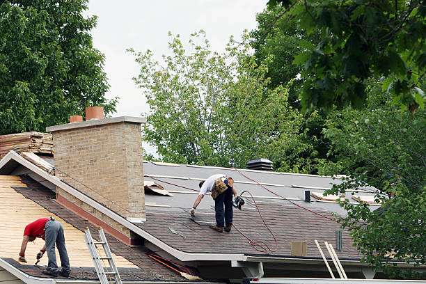 Best Roof Gutter Cleaning  in Myrtle Creek, OR